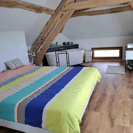 L'echo De La Nature *