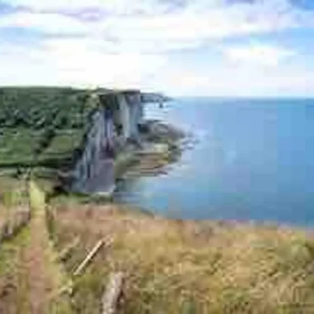 L'echo De La Nature * Sasseville