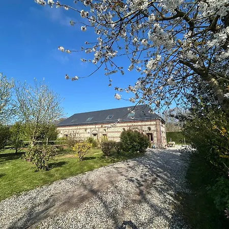 L'echo De La Nature *