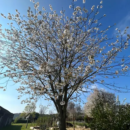 L'echo De La Nature Apartment